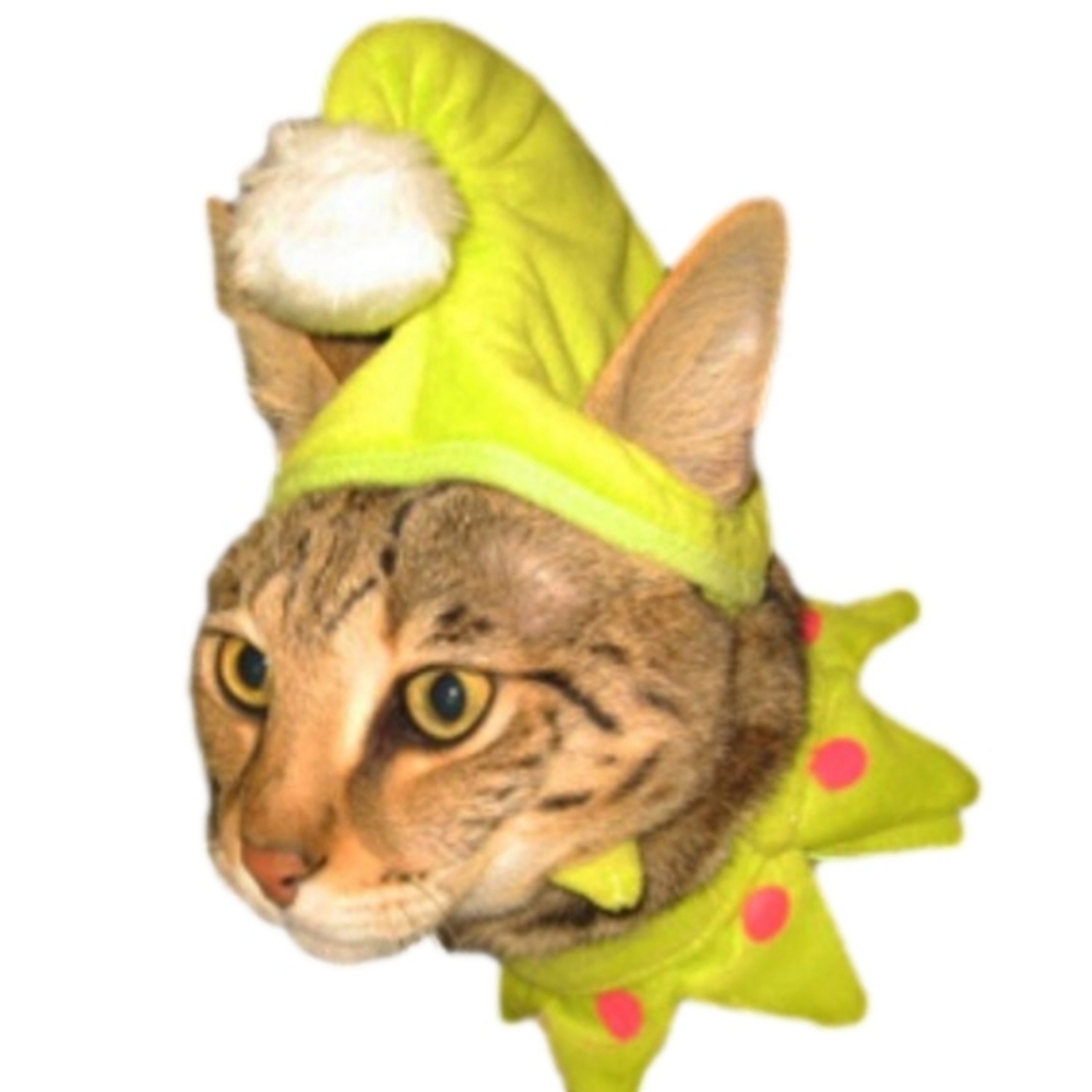 Pet Costumes - Picture 5 of 8